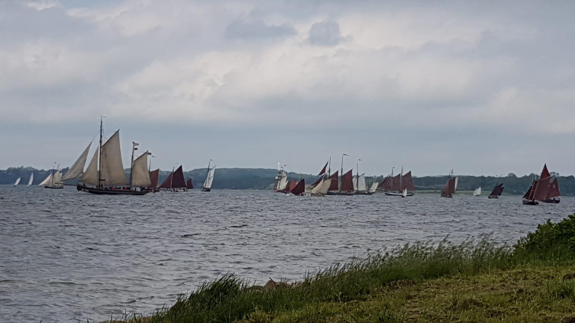 Hier sehen Sie viele alte Segelschiffe, die während der jährlichen historischen Segel-Regatta an der Ferienwohnung Fiedler vorbeisegeln.
