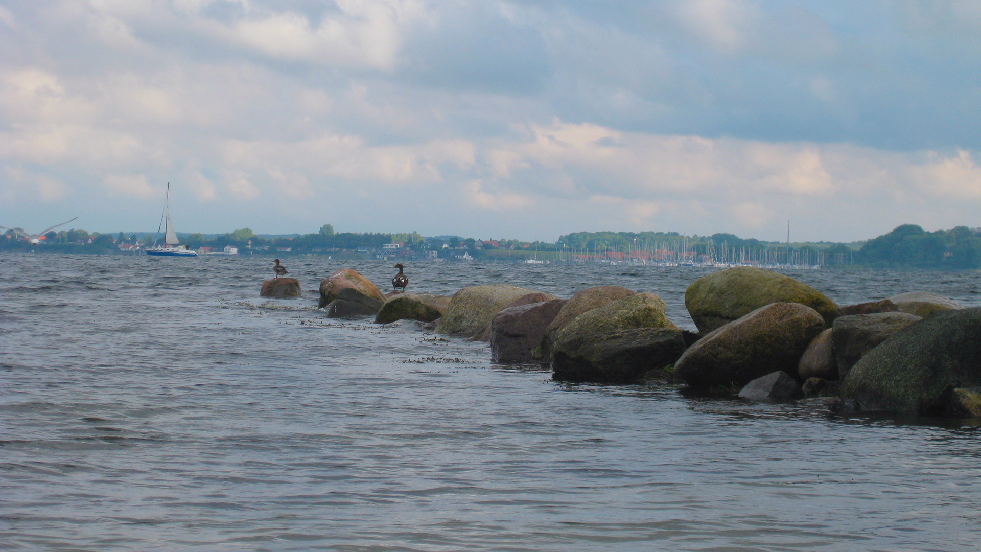 Steine als Wellenbrecher auf dem zwei Vögel sitzen.