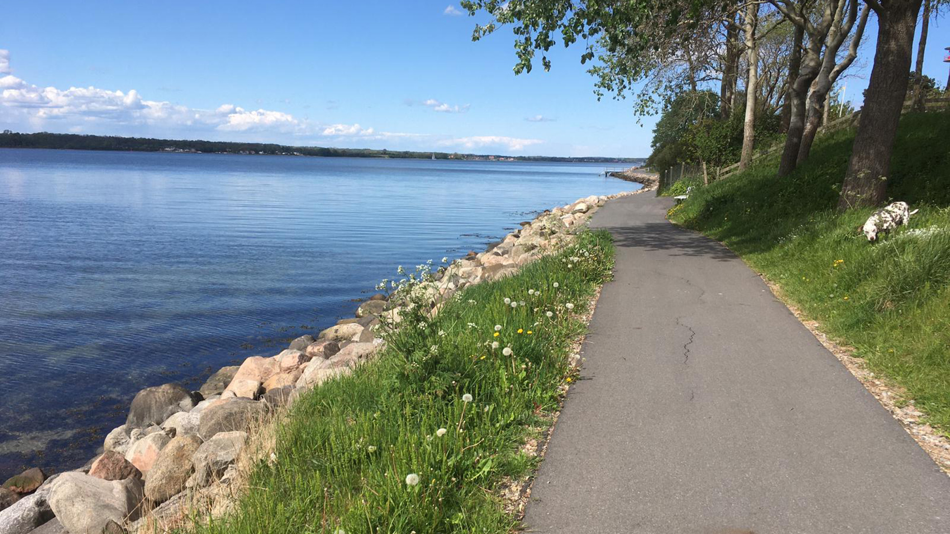 Spazieren oder fahren Sie mit dem Fahrrad auf dem geteerten Weg, der direkt am Meer entlang führt.